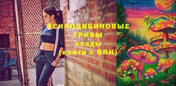 Альфа ПВП Кукмор