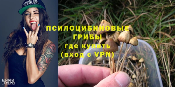 хмурый Кулебаки