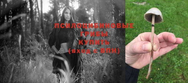 Альфа ПВП Кукмор