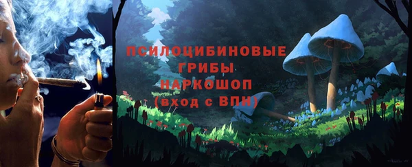 дживик Куйбышев